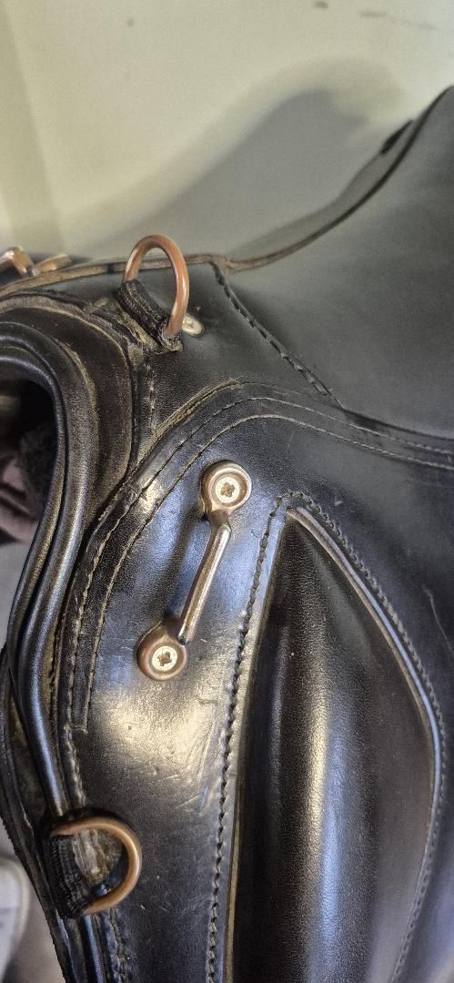 Selle Thomas Pflieger – Randonnée 17'