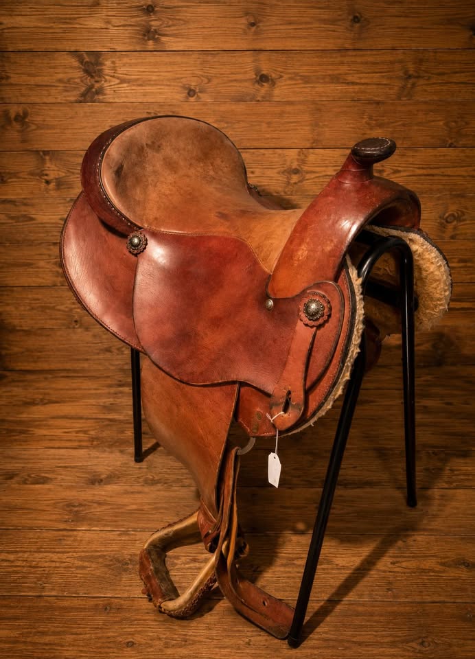 NOMAD Custom brand - QH 16'