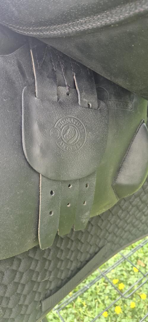 Selle Antarès Signature 17'