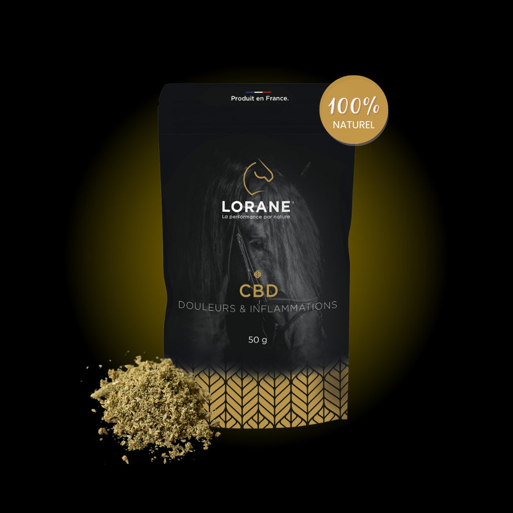 CBD - Lorane