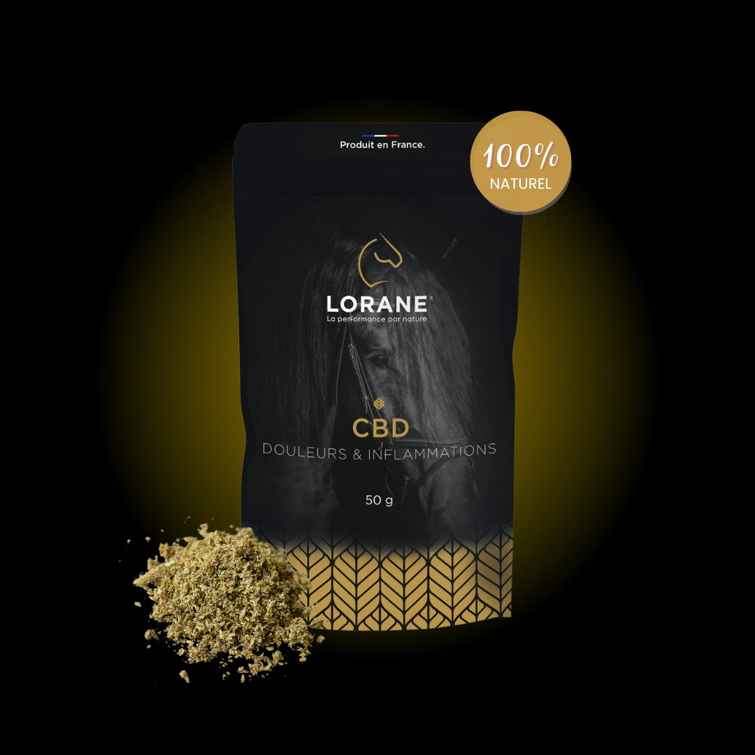 CBD - Lorane