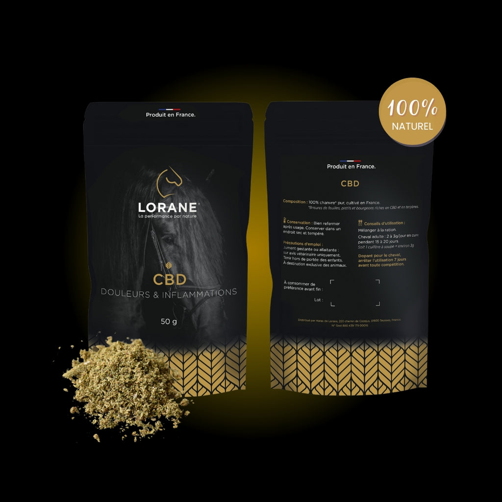 CBD - Lorane