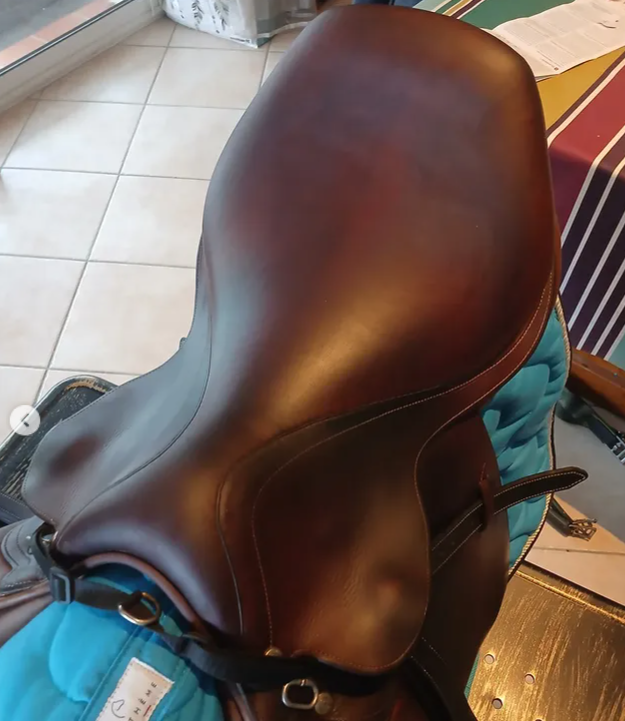 Selle Forestier Altreac 17'5