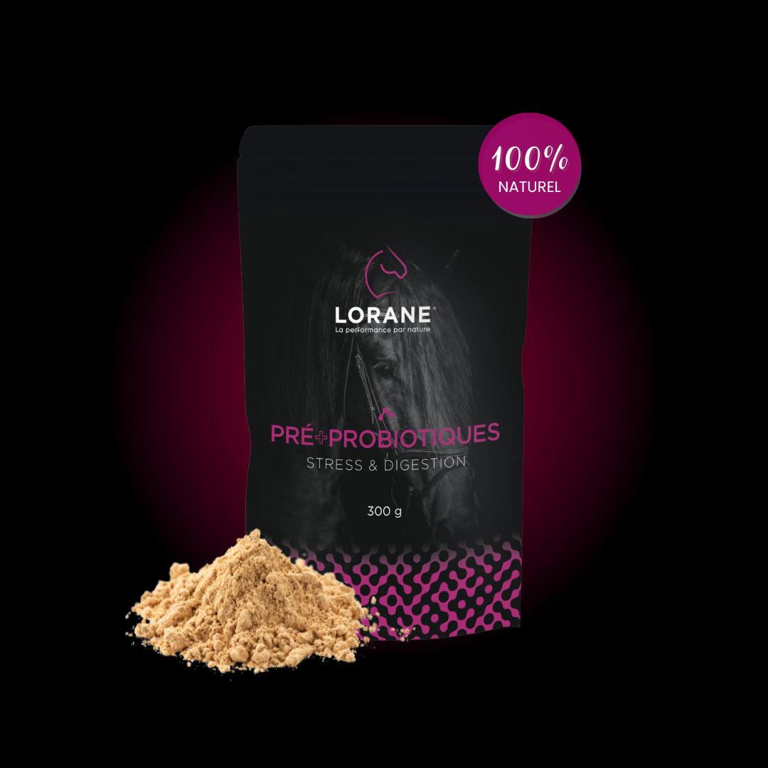 Pré et Probiotique Lorane
