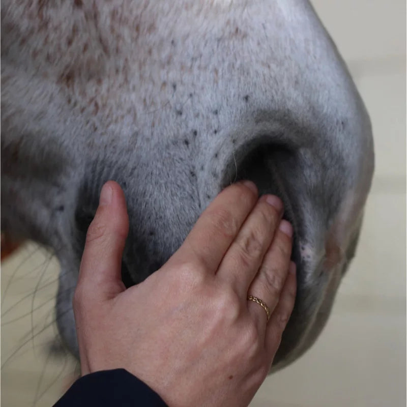 Sérum Sérénité Cheval - Nellumbo