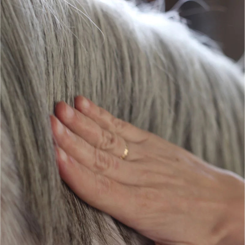 Sérum Sublime Crins - Soin naturel nourrissant pour les crins du cheval Nellumbo